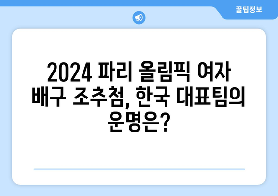 2024 파리 올림픽 여자 배구 조추첨일 발표