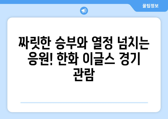 대전 볼거리 추천: 한화생명 이글스파크에서 한국 프로야구 관람