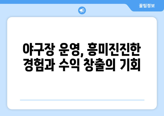 야구장 구매 가이드: 완벽한 경기장을 위한 모든 정보