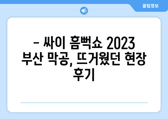 싸이 흠뻑쇼 2024 부산 공개 일정과 티켓 금액, 작년 막공 후기