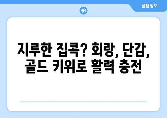 집콕 동안의 엔터테인먼트: 회랑, 단감, 골드 키위