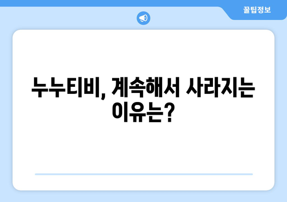 누누티비에 대한 정보: 불법적이며 자주 폐쇄됨