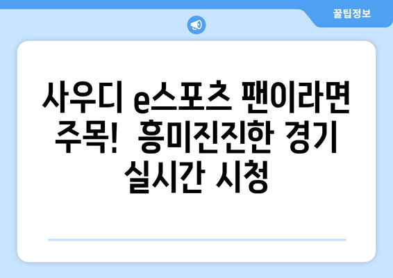 사우디 e스포츠 일정 및 중계 안내