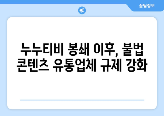 제2의 누누티비 봉쇄: 불법 콘텐츠 유통 업체에 의무 부과