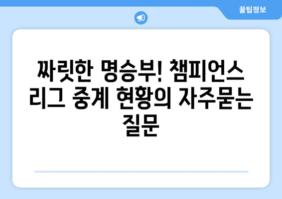 짜릿한 명승부! 챔피언스 리그 중계 현황