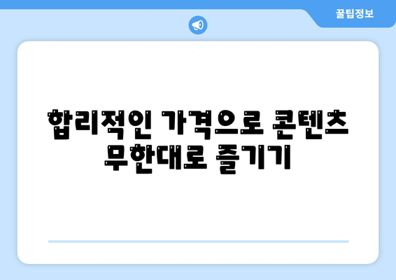 합리적인 가격으로 영화, 드라마, 예능을 즐기기