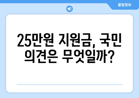 25만원 민생 지원금 신청 여부에 대한 국민 의견 조사