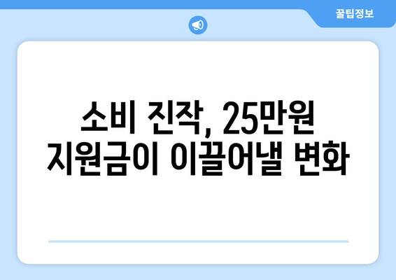 25만원 민생 지원금 지급으로 인한 경제 효과 예상