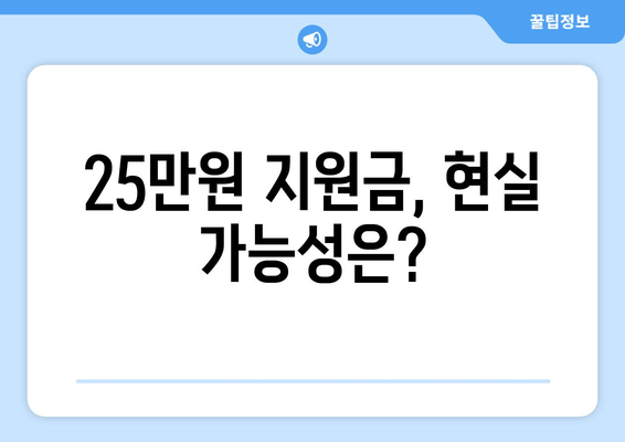 전국민 25만 원 지원금법 공청회 개최