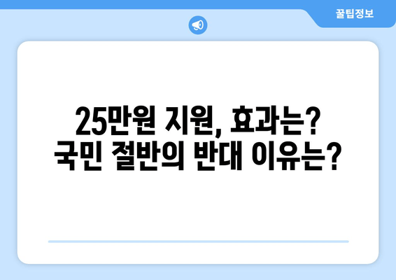 국민 절반이 반대하는 25만원 민생지원금