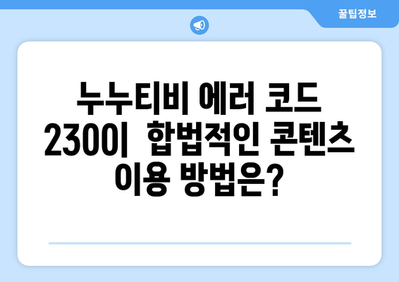 누누티비 에러 코드 2300: 콘텐츠 제한 관련 오류