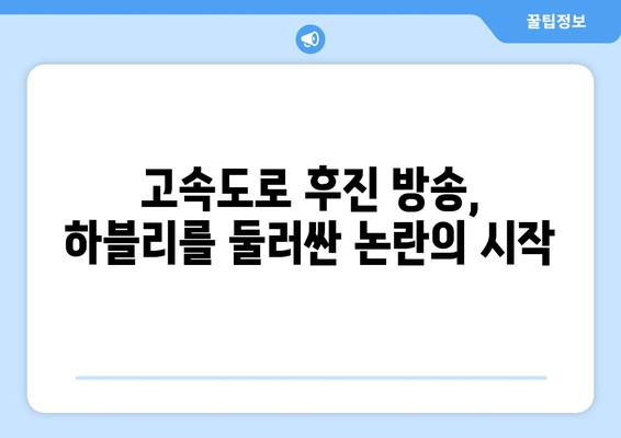 고속도로 후진 BJ 하블리와 소셜 미디어 통신으로 인한 논란