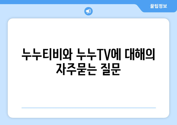 누누티비와 누누TV에 대해