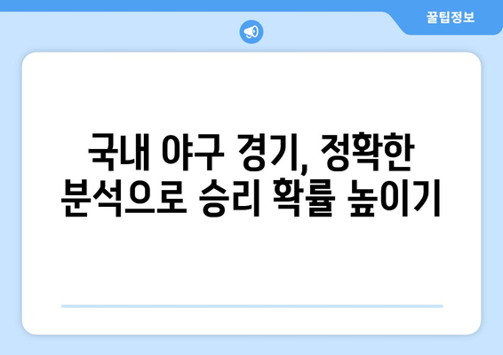 스포츠 분석과 추천픽 제공: 국내 야구와 스포츠토토