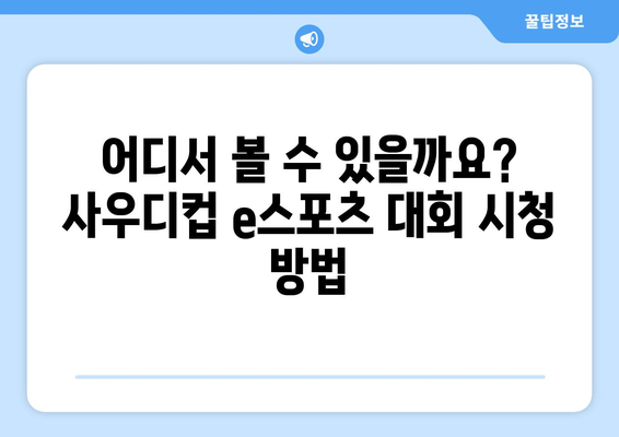 사우디컵 e스포츠 대회 일정과 중계 안내