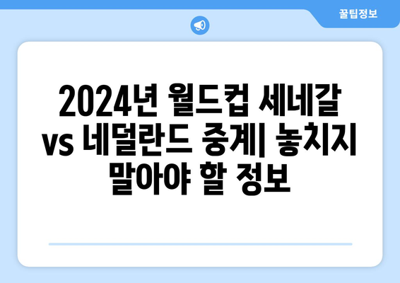 2024년 월드컵 세네갈 vs 네덜란드 중계 방송권 및 중계 옵션