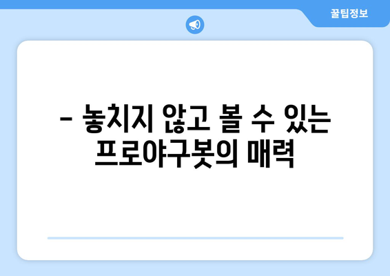 프로야구봇으로 야구 중계 시청 후기