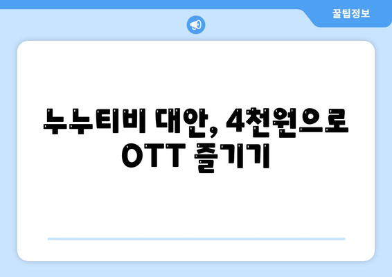 누누티비 대신 4천원으로 OTT 구독하기