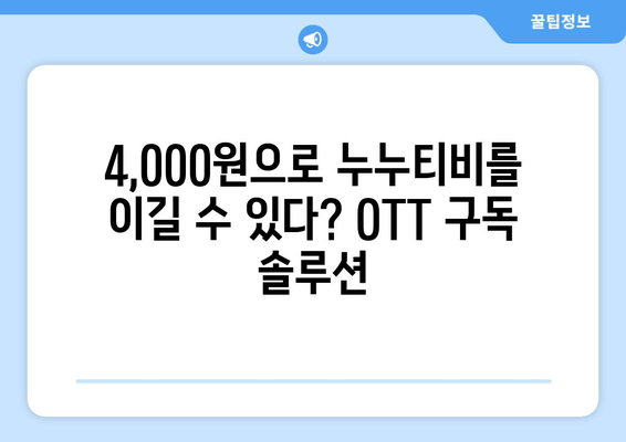 누누티비 대신 4,000원으로 OTT 구독법