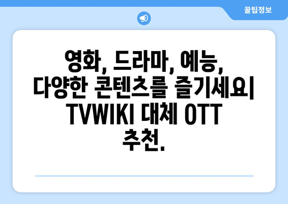 TVWIKI를 대체하는 최고의 OTT 사이트