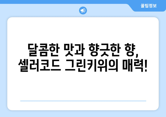 셀러코드 그린키위: 대형 과일과 맛있는 즐거움