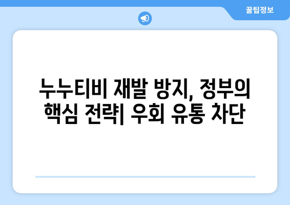 누누티비 재발 방지: 정부, 불법정보 우회 유통 차단 추진