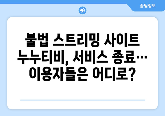 넷플릭스 대체? 불법 스트리밍 사이트 누누티비 서비스 종료