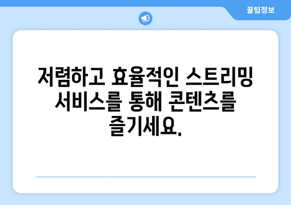 누누티비 대체 가능한 사이트 추천: 법적 옵션 선택