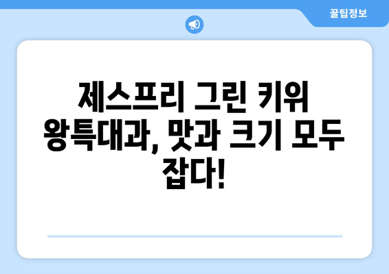 [셀러코드 로미네] 식탐대첩 제스프리 그린 키위 왕특대과