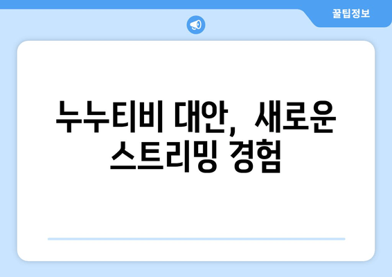 누누티비 대체 서비스 후기: 안전성 및 효과