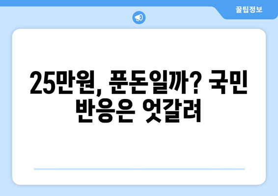 국민 절반이 반대하는 25만원 민생지원금