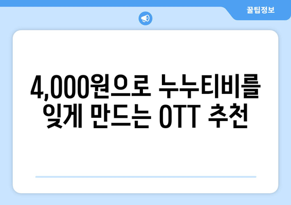 누누티비 대신 4,000원으로 OTT 구독법