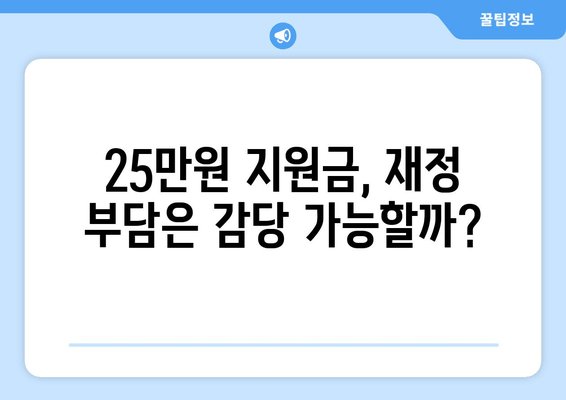 경제 이슈 분석: 25만원 민생 지원금