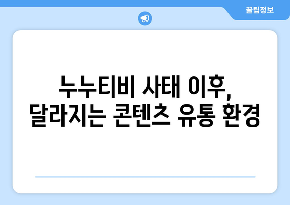 제2 누누티비 방지: 불법 콘텐츠 전송 업체에 의무 부과