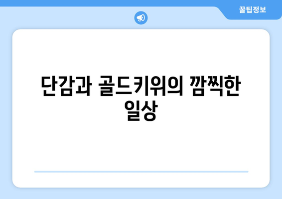 놀아주세요를 하는 회랑 단감과 골드키위