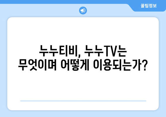 누누티비와 누누TV의 현황 및 불법성