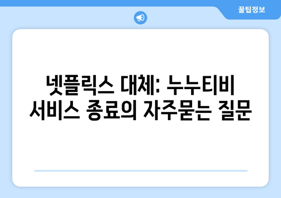 넷플릭스 대체: 누누티비 서비스 종료