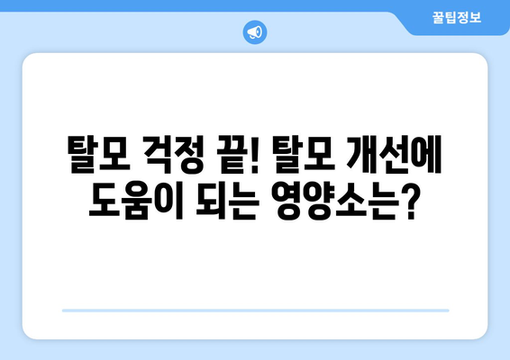 탈모에 효과적인 음식: 과연 내가도 탈모 위험군일까?