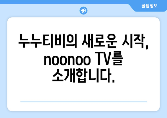 누누티비의 두 번째 등장: noonoo TV