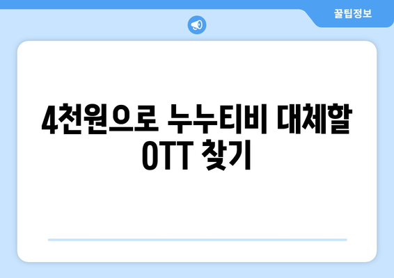 누누티비 없어도 4천원으로 OTT 구독하기