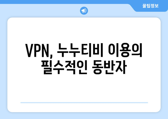 안전한 VPN을 통한 누누티비에 대한 접근성