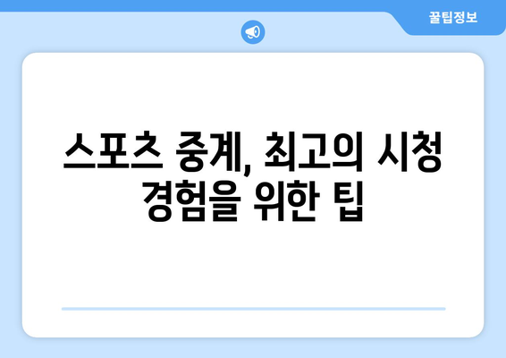 국내 및 해외 스포츠 중계 추천픽 분석