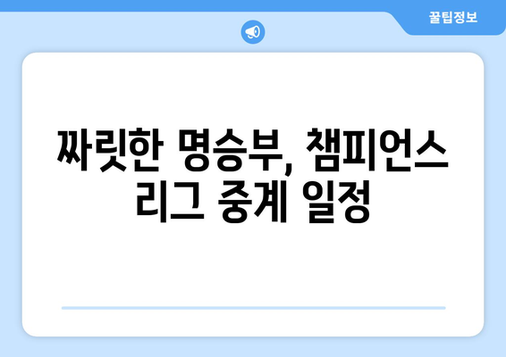 짜릿한 명승부! 챔피언스 리그 중계 현황