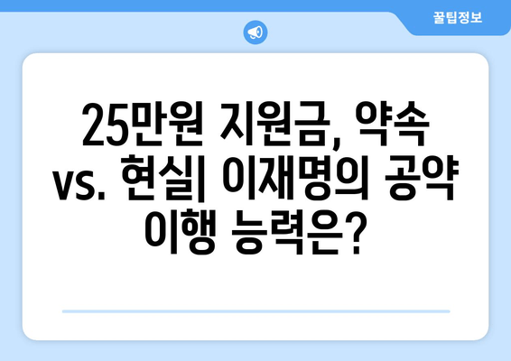 이재명의 민생회복지원금 25만원: 사후 매표 행위 의혹