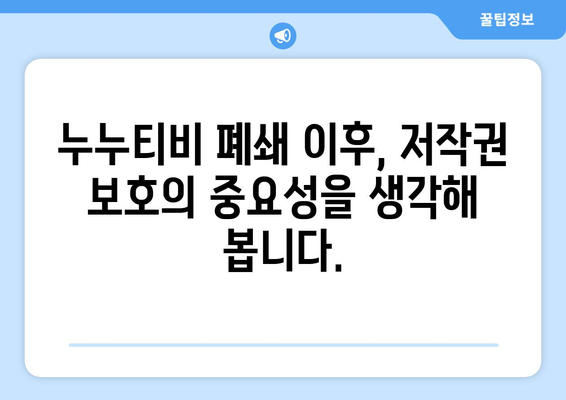 누누티비, 누누 TV에 대한 소개와 불법성 경고 [폐쇄됨]