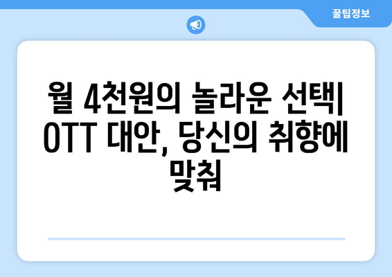 한 달 4,000원의 OTT 대체 방안 소개