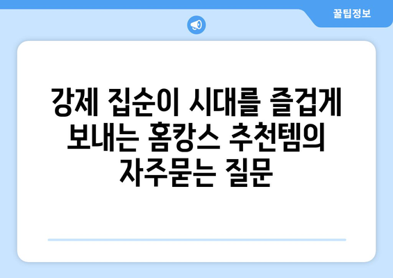 강제 집순이 시대를 즐겁게 보내는 홈캉스 추천템