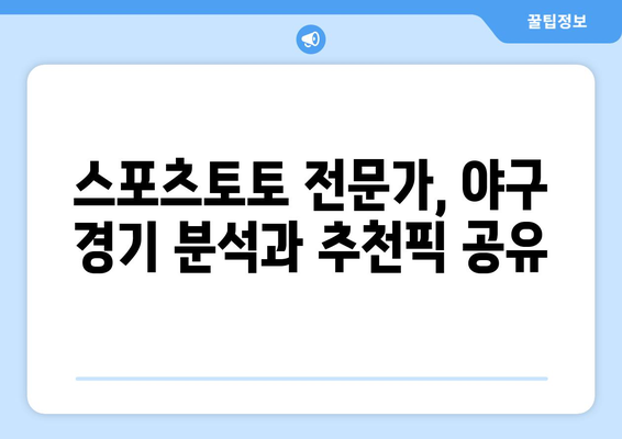 스포츠 분석과 추천픽 제공: 국내 야구와 스포츠토토