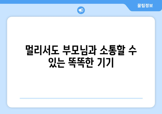 부모님께 드릴 수 있는 훌륭한 휴대용 예능 기기 추천