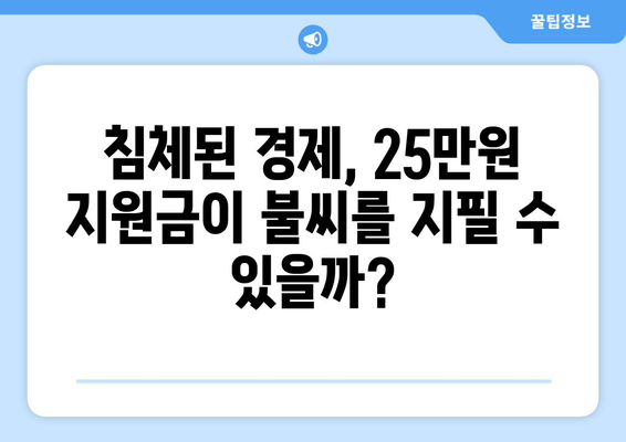 경제 회생의 원동력: 25만원 지원금에 거는 기대